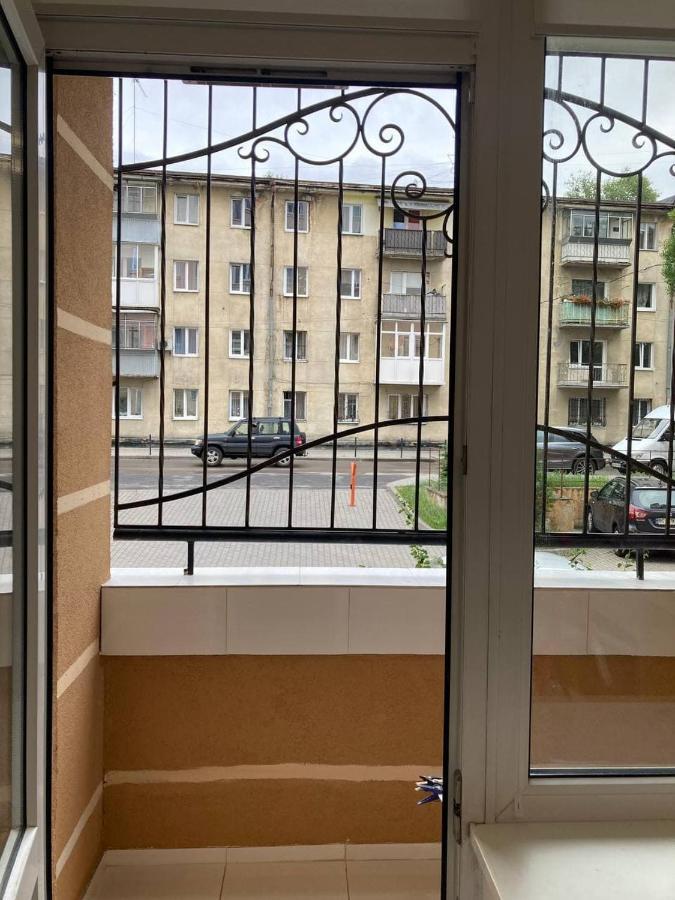 New Cosy Apartment Lviv Kültér fotó